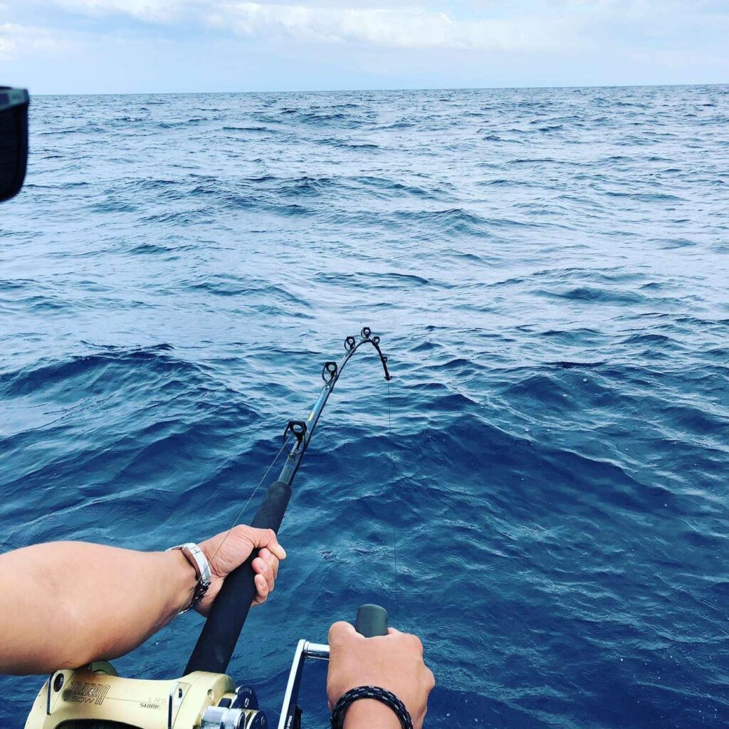 Peche sportive no kill